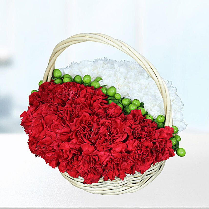 carnation celebration basket online