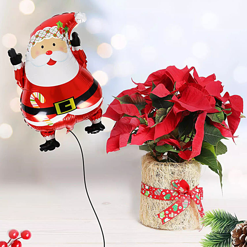 Santa Balloon and Poinsettia Plant:All Gifts