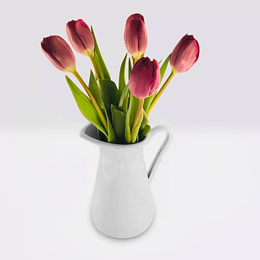 Purple Tulip In A Premium Pot