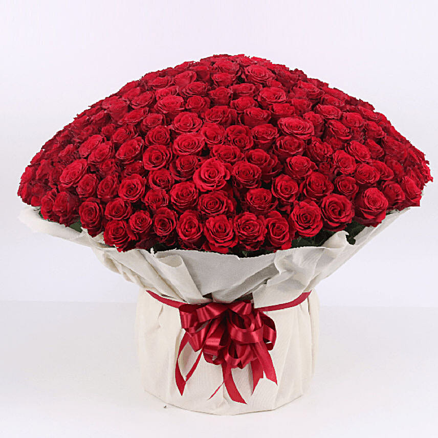 many roses bouquet online
