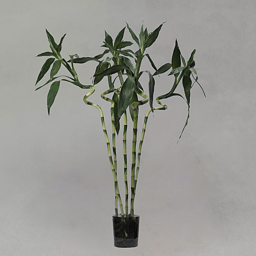Bamboo Sticks Glass Vase