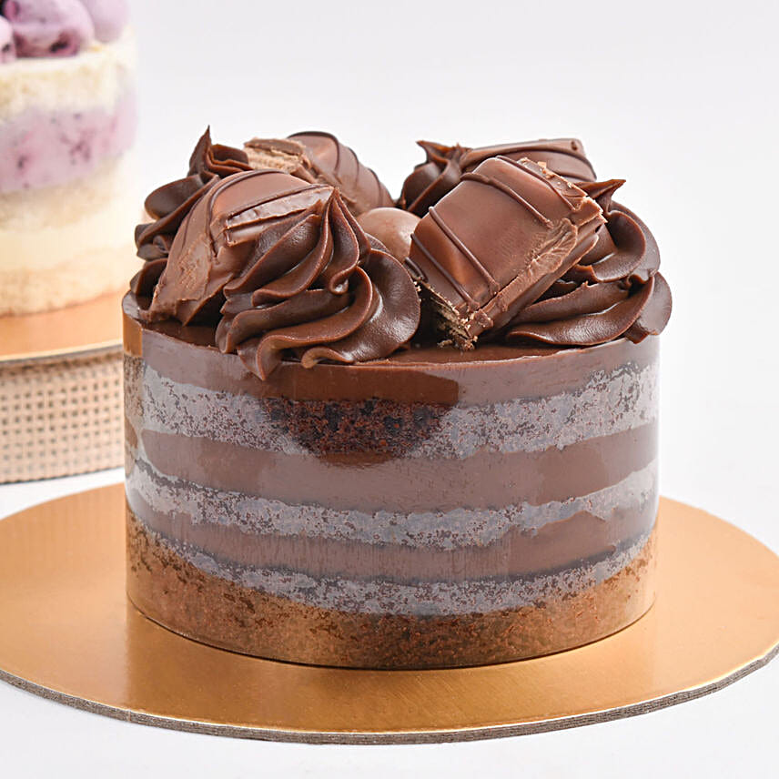 Choco Vanilla Harmony Duo