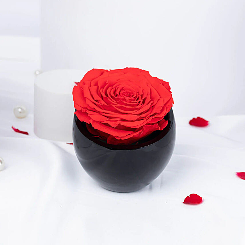 Forever Red |n Midnight