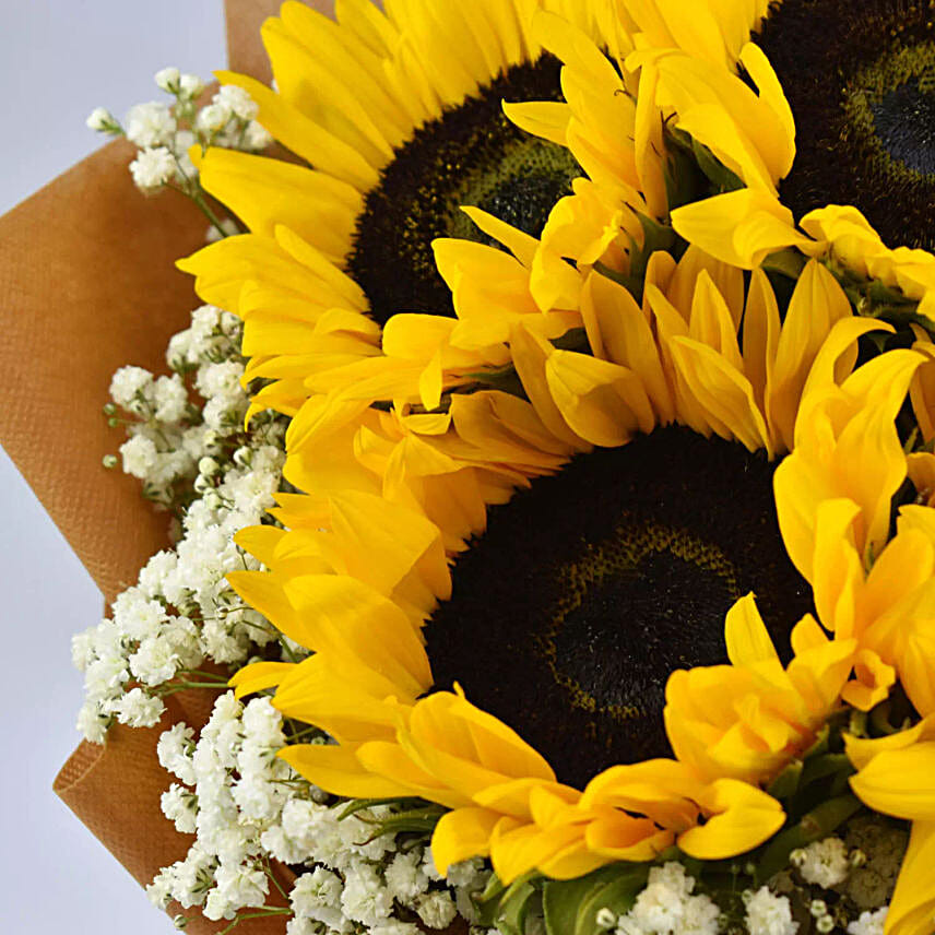 Ravishing Sunflowers Beautifully Tied Bouquet