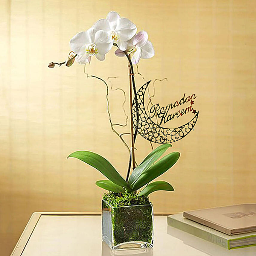 White Orchid Plant In Glass Vase & Ramadan Topper