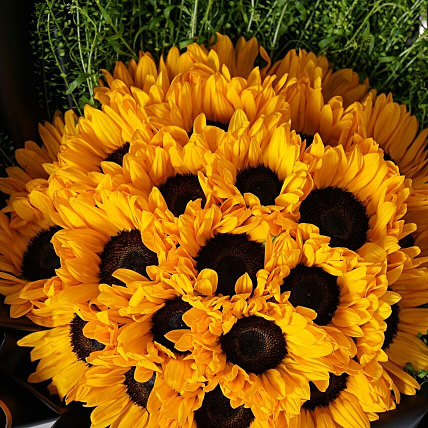 Wrapped Sunshine Bouquet