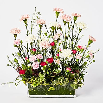 Exclusive Mixed Carnations Glass Vase Arrangement