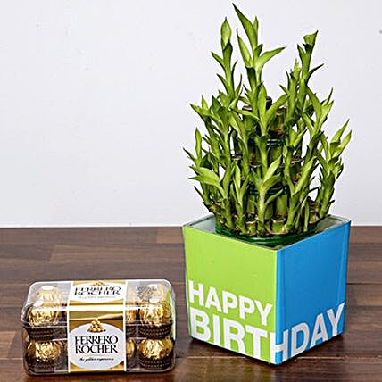 3 Layer Bamboo Plant And Chocolates For Birthday:combos