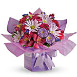 Lovely Lavender