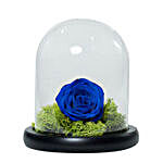 Elegant Blue Rose