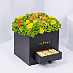 Green Hydrangea & Chocolate Arrangement Box | Umrah