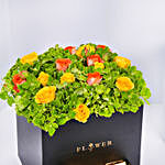 Green Hydrangea & Chocolate Arrangement Box | Umrah