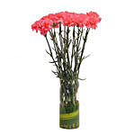 Pink Carnations N Vase