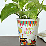 Birthday Special Plant