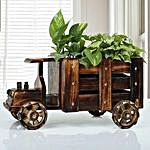 Wooden Truck Full of Plants