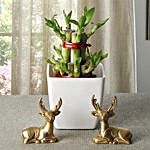 Lucky Bamboo With Deers