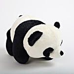 Black N White Panda