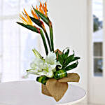 Orange Bird Of Paradise & White Lilies Vase