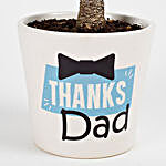 Fathers Day Special Ficus Bonsai Plant