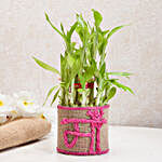 Sincerely Yours Mom Lucky Bamboo Plant