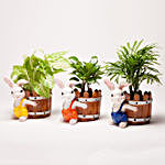 Set of 3 Green Plants in Resin Pots