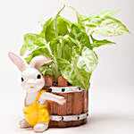 Syngonium Golden Plant In Resin Rabbit Pot