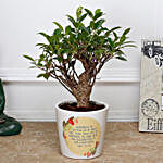 Ficus I Shape Bonsai Plant in Printed Ceramic Pot