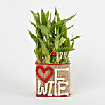 Two Layer Lucky Bamboo For Wife