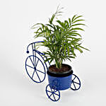 Chamaedorea Plant in Blue Cycle Planter