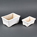 Combo of 2 White Ceramic Bonsai Tray Vases