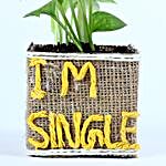 Money Plant For Singles Day