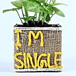 Syngonium Plant For Singles Day