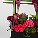 Exotic Arrangement of Purple Calla Lilies