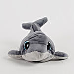 Beanie Boos Echo The Dolphin Soft Toy
