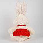 Bunny With Dress Soft Toy Cream