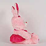 Bunny With Dress Soft Toy Pink