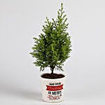 Christmas Special Cyprus Plant in Printed Ceramic Pot