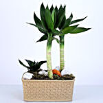 Bamboo Plant With Animals Hunting Theme Dish Garden