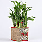 Two Layer Lucky Bamboo Plant in New Year Glass Vase