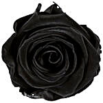 Black Jade- Beautiful Forever Black Rose