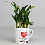 2 Layer Lucky Bamboo Plant in Heart Ceramic Mug