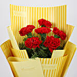 6 Red Carnations Bouquet
