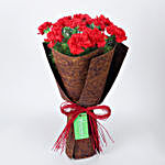 Red Raffia Tied 12 Red Carnations Bouquet