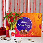 Kiss Day Special Lucky Bamboo Plant with Cadbury Celebrations