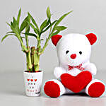 Lucky Bamboo Plant in I Love You Pot & Teddy Bear Combo
