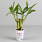 Lucky Bamboo Plant in I Love You Pot & Teddy Bear Combo