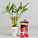 Lucky Bamboo Plant in Love You Pot & Dairy Milk Combo