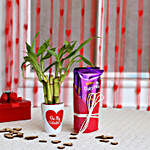 Lucky Bamboo Plant in Valentines Pot & Dairy Milk Silk