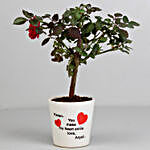Rose Plant in Personalised Love Pot & Dairy Milk Chocolates