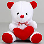 Teddy Bear & 20 Red Carnations Combo